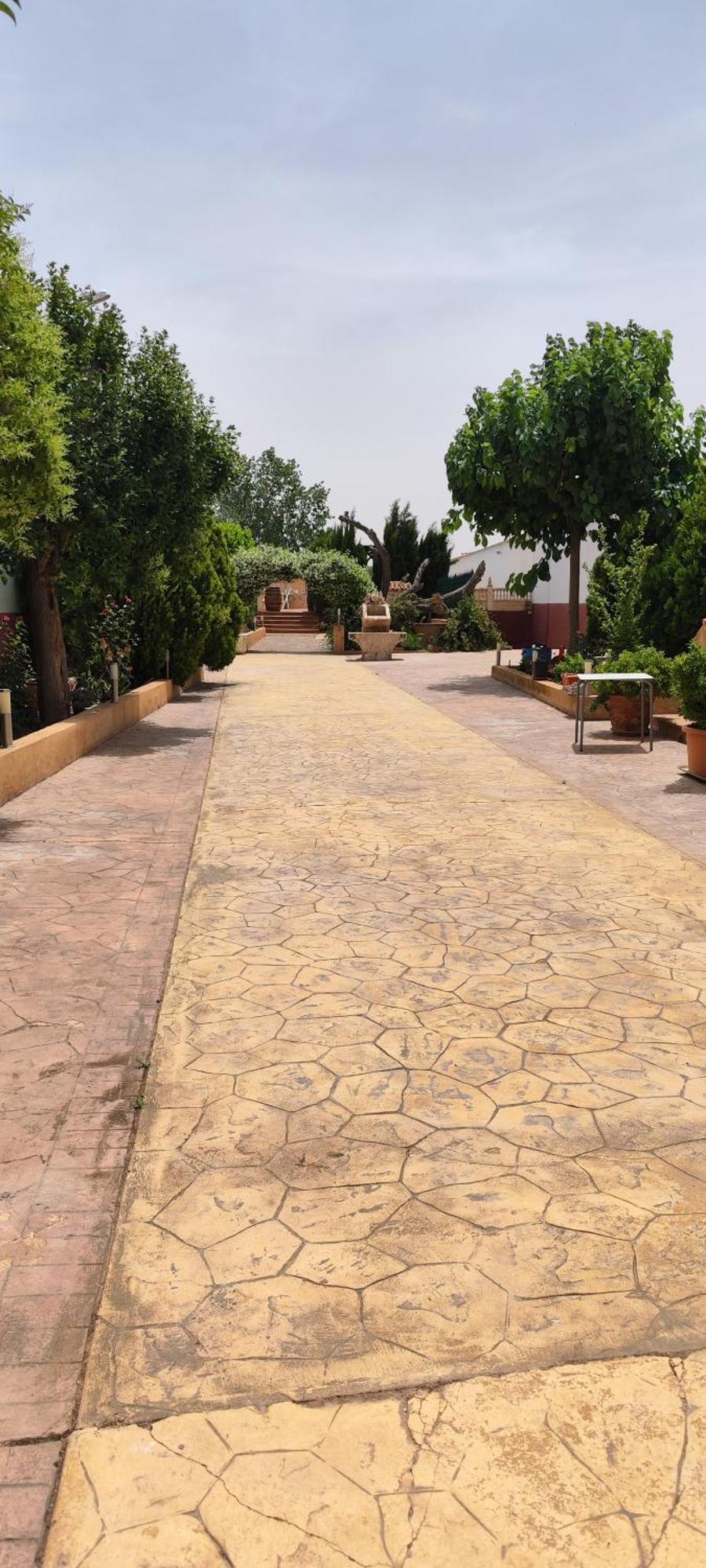 Casa Rural El Tejar San Clemente  Exterior foto
